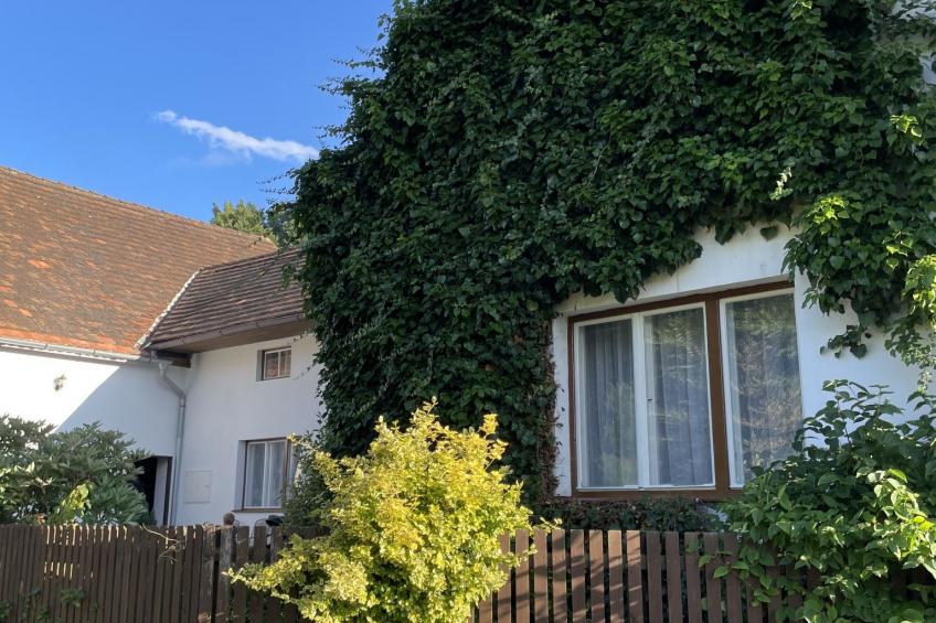 Forrest Haven Vodice - foto 33