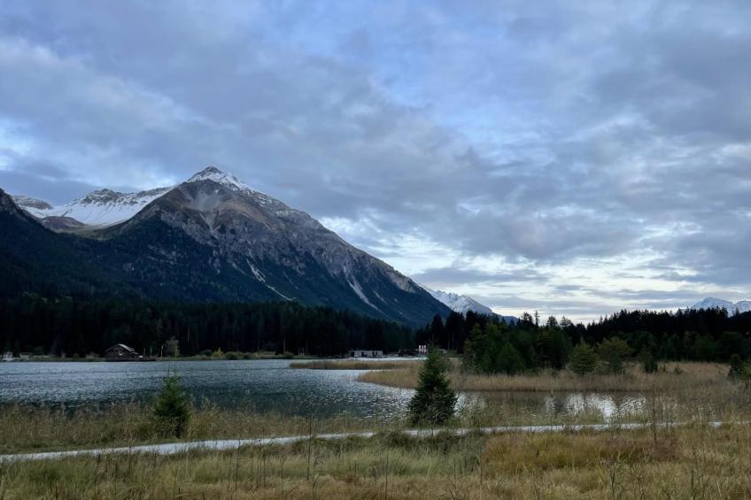 Studio Bossihang - foto 39