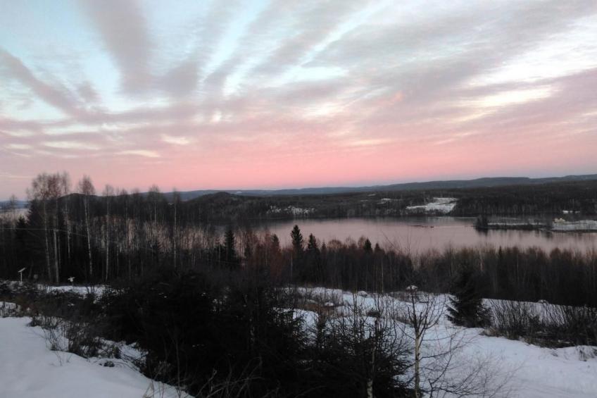 Tolles Ferienhaus in Sunne mit Großer Terrasse - foto 32