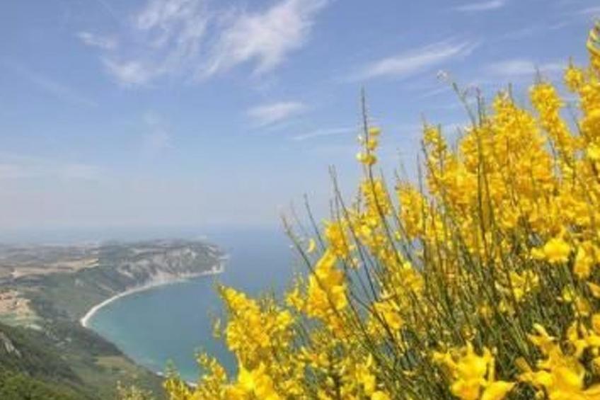 Casa Terra - foto 13