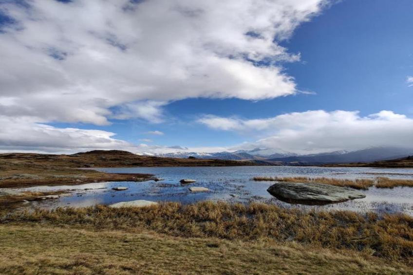 Fermes de ST Sorlin - LE FREZZIA  N°204 - 3P8 - foto 30