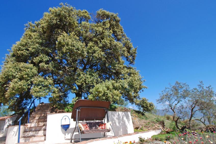 Ein Traumurlaub im Herzen von Andalusien. - foto 10