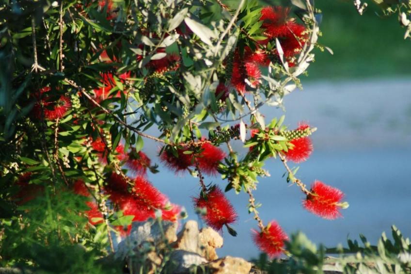 Rustikales Haus in Lukoran mit privatem Parkplatz - foto 42