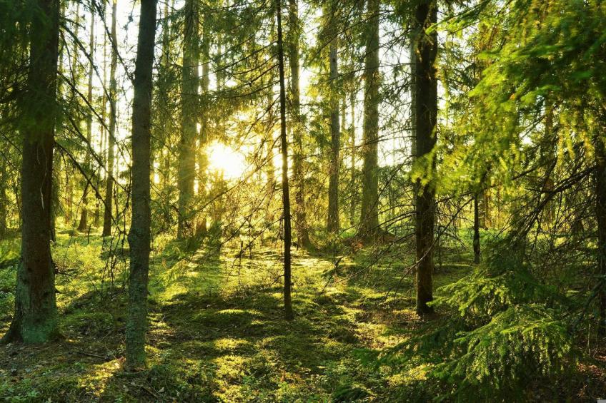 BF-76JDF - foto 5