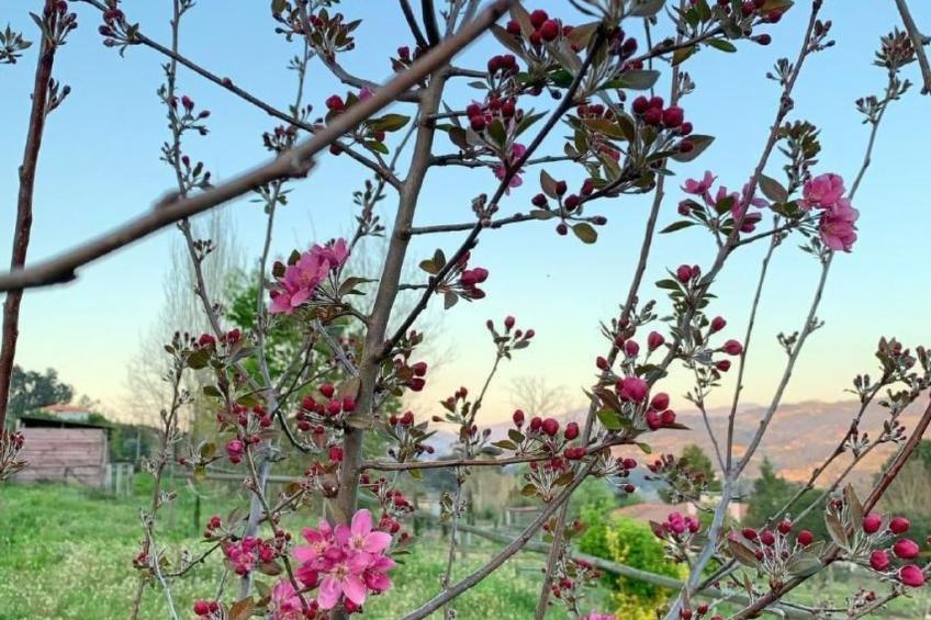 mit Blick auf das Wasser - foto 12