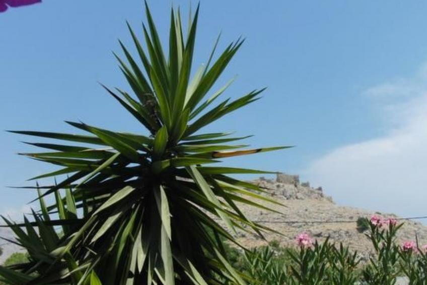 Castle View Haraki - foto 10