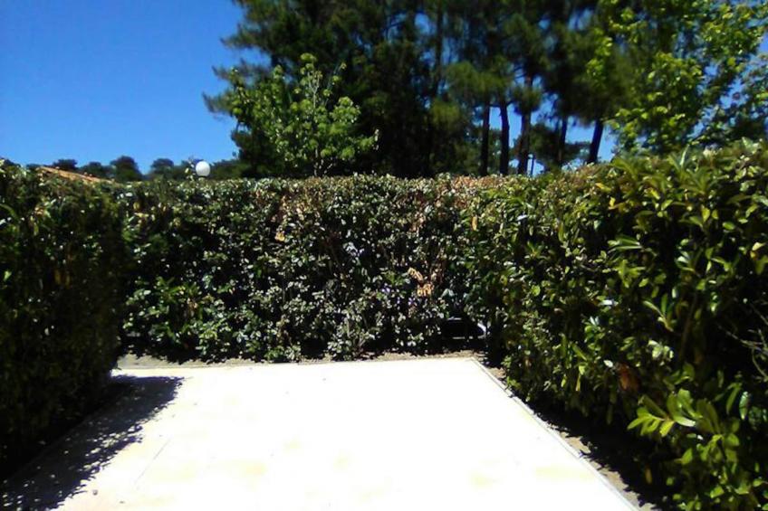 Résidence Paradise Ocean - foto 10