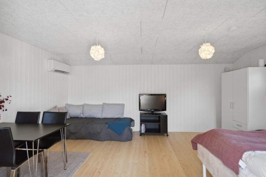 "Self" - 400m to the inlet in The Liim Fiord - foto 7