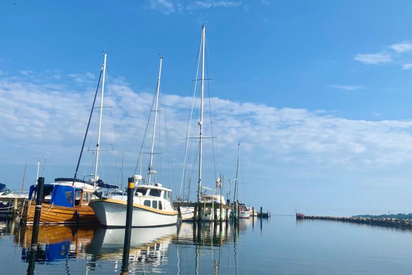 "Iadrik" - 85m to the inlet in Sealand - foto 3