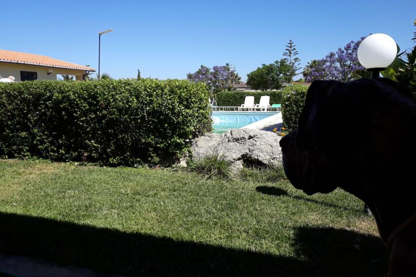 Wohnung 3 - Zwei-Zimmer-Wohnung - foto 12