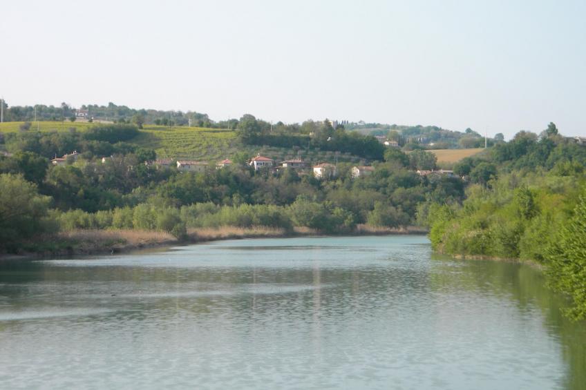 in der Gegend zwischen Meer und Berghang - foto 35