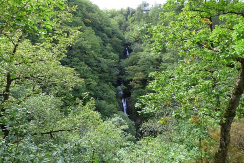 Brodawel - The Cottage - foto 37