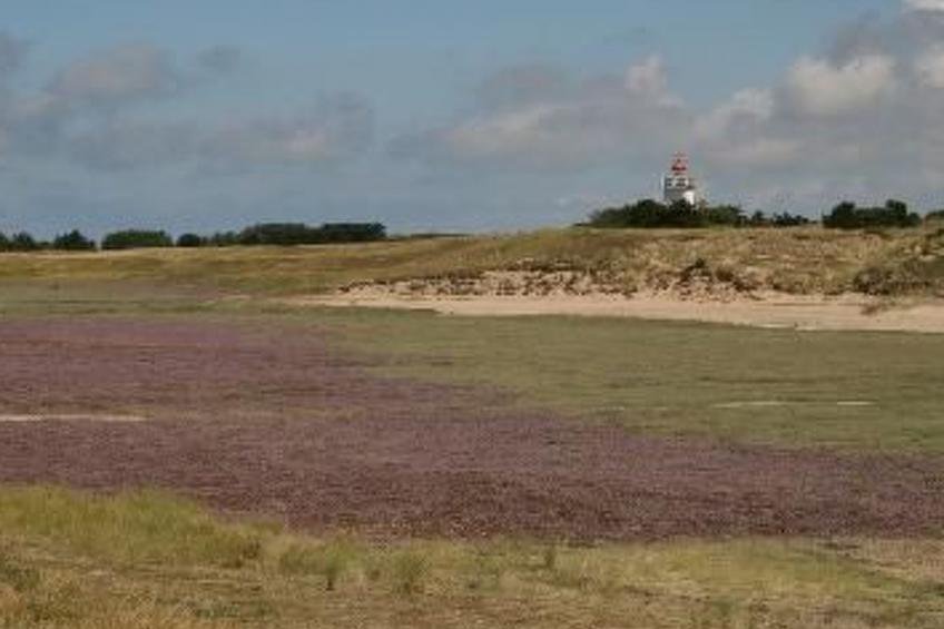 "8883" in Strandnähe - foto 22