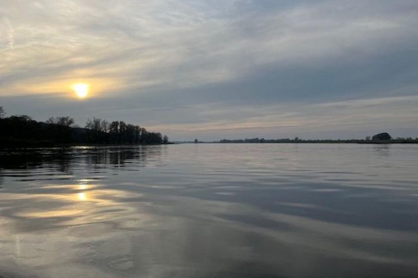 Haus Elbrose inmitten von Rosen mit Elbdeichzugang - foto 18