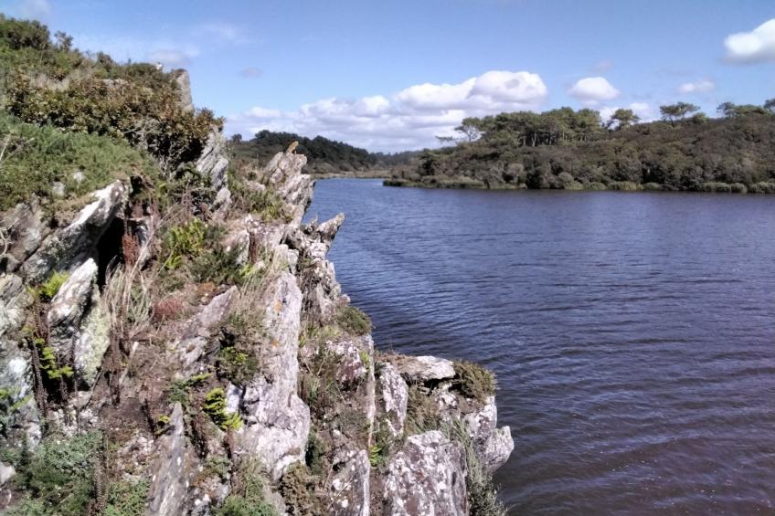 Bretonisches Ferienhaus in Meeresnähe mit Garten - foto 38