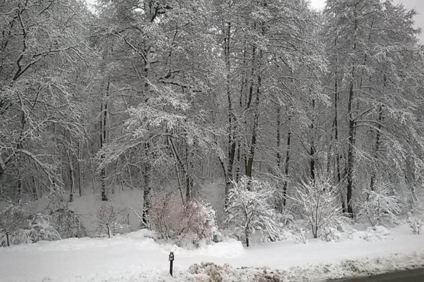 Im Erzgebirge - foto 33