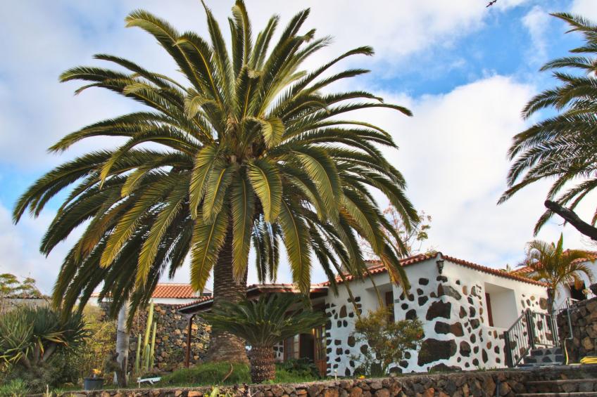 Casa Tanausu - Typisch kanarische Ferienunterkunft - foto 16