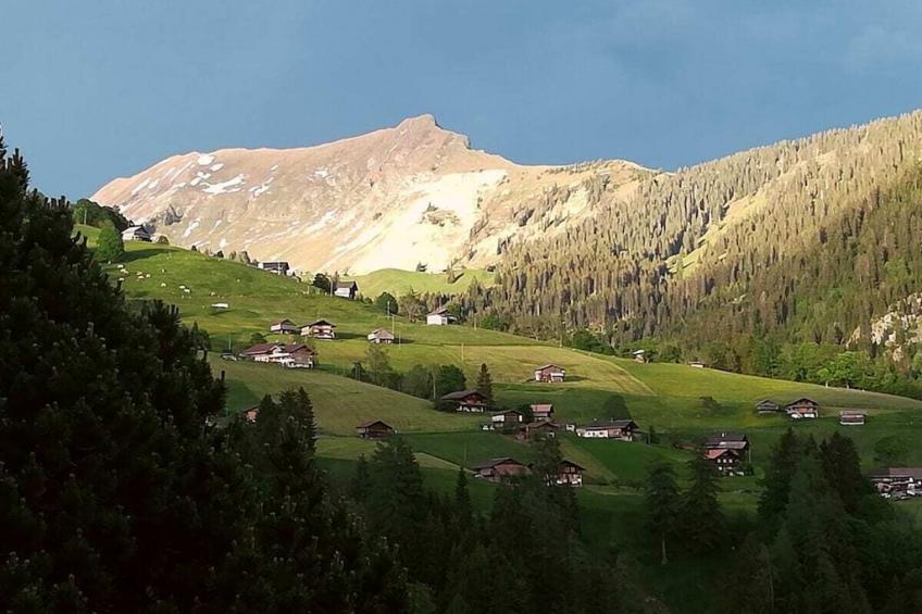 208807 - foto 3