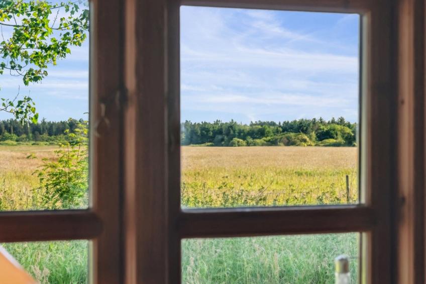 "Elsia" - 1.5km to the inlet in NW Jutland - foto 18