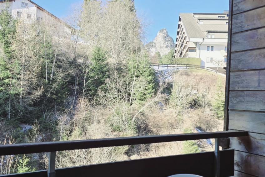 L'Ecrin de Torgon in den Portes du Soleil - foto 21