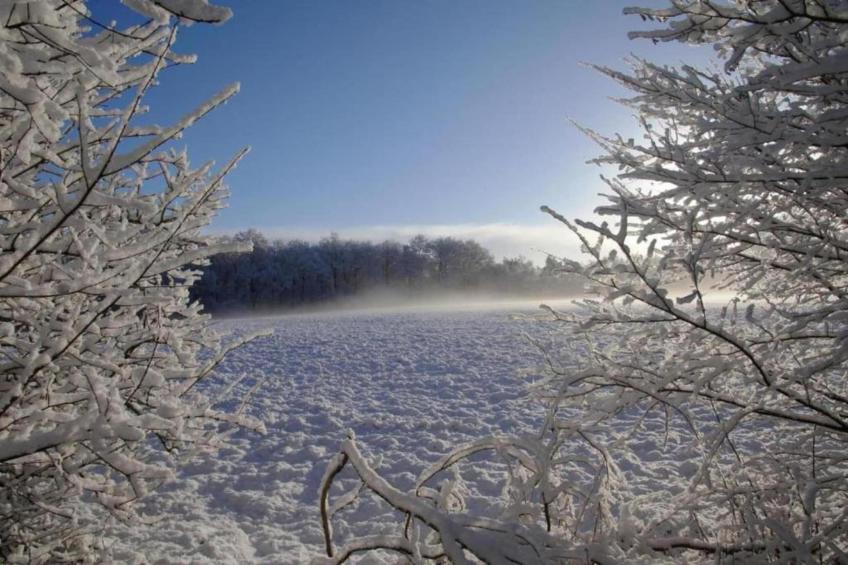 't Landgoed Baars 1 - foto 35