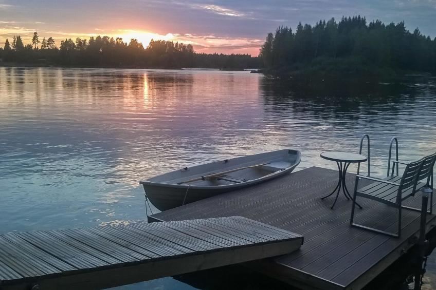 Huvila ferdinand - foto 31