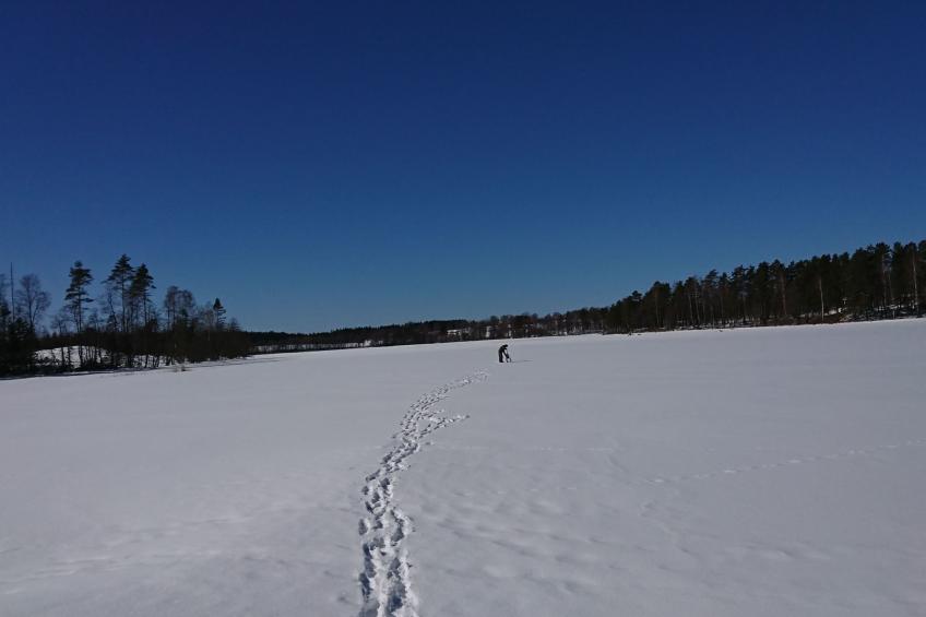 Saxarsviken - foto 43