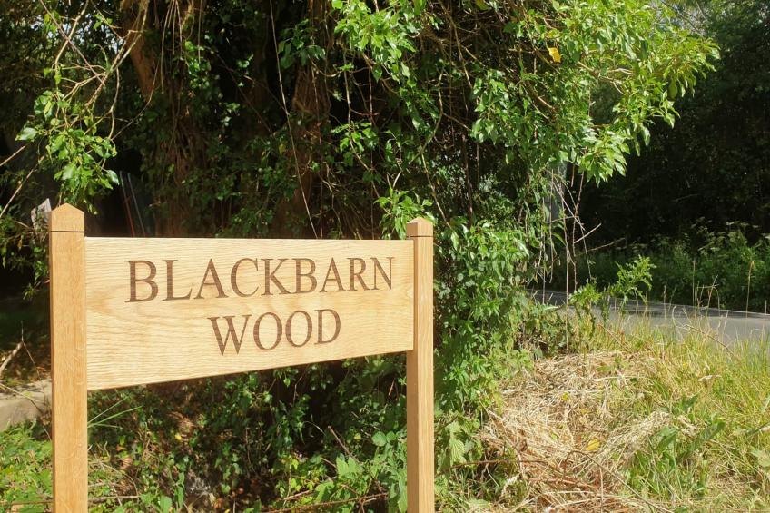 Blackbarn Wood - foto 21