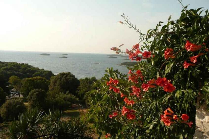 Holiday apartment in the center not far from the sea - BF-DMBRV - foto 15