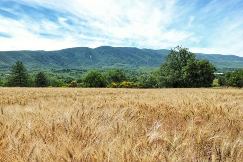 Villa Coda - foto 33