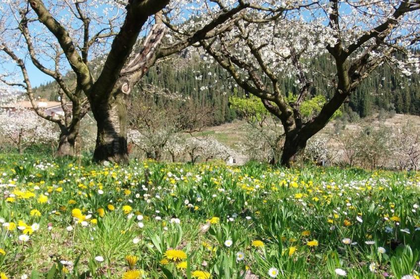Anwesen mit Garten, Grill und Terrasse - foto 26