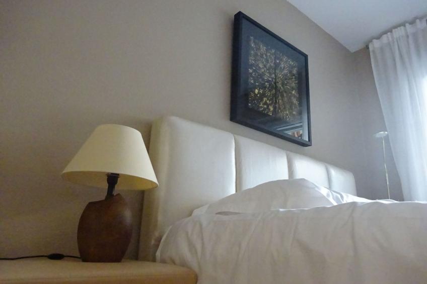 Großzügige Wohnung mit Terrasse und Rheintalblick - foto 10