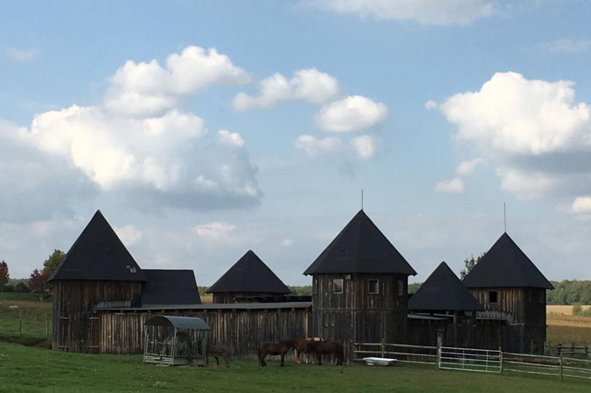 Thermen Apartment - foto 41