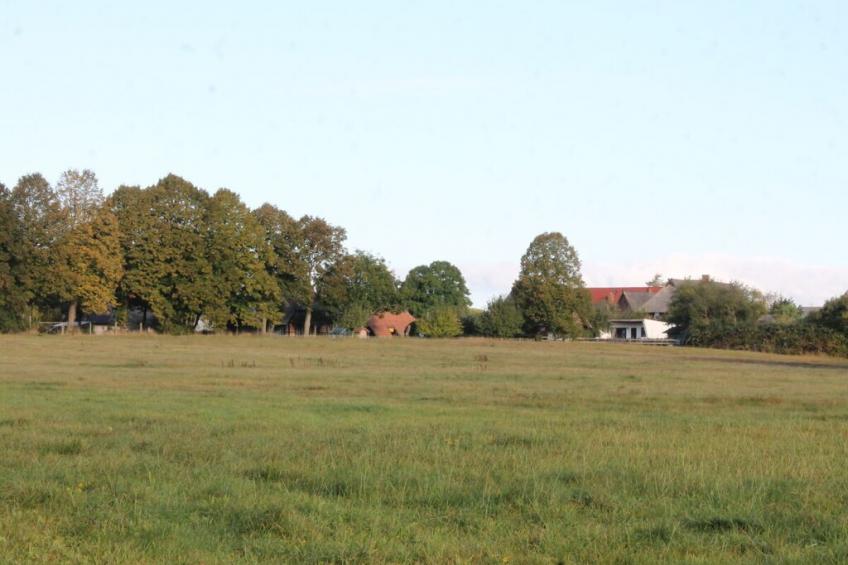 118147 - foto 35