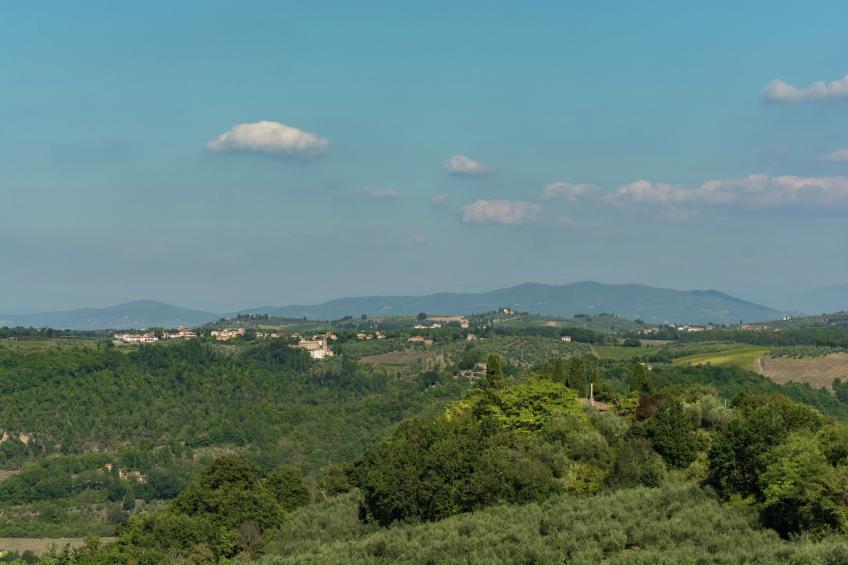 IL QUERCETO PRIMA - foto 32