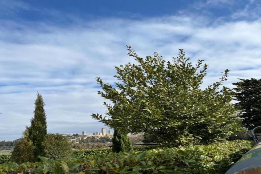 Boerderijchalet nr 2 - foto 14