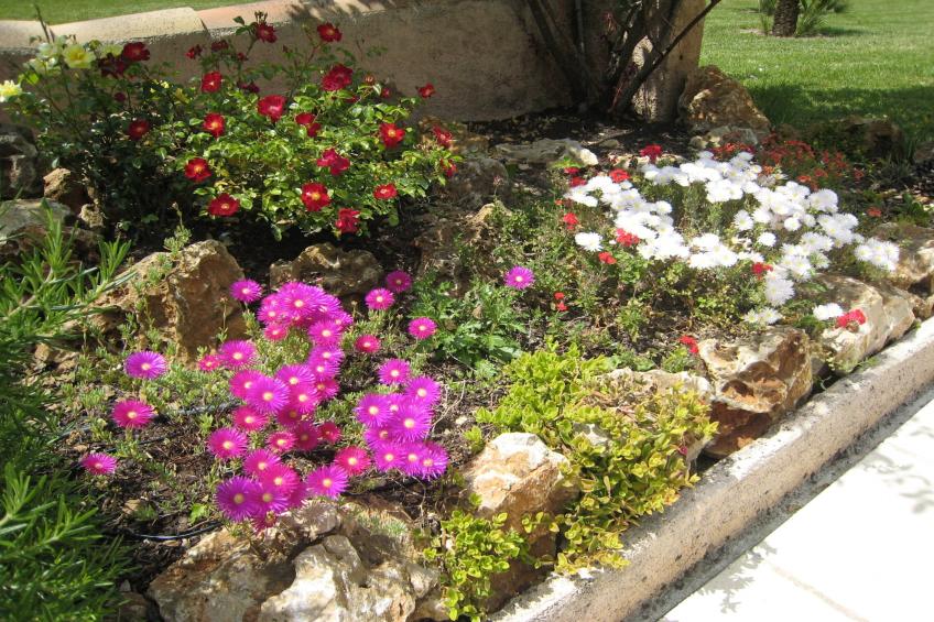 Mas du Puits - foto 23