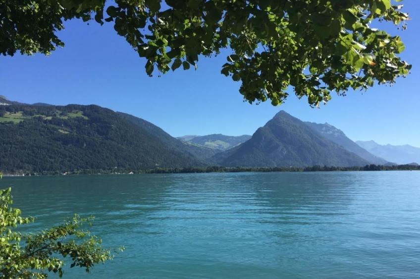 Haus am See - foto 10