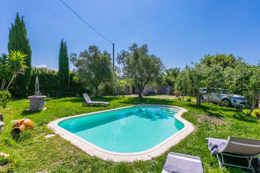 Garden - foto 42
