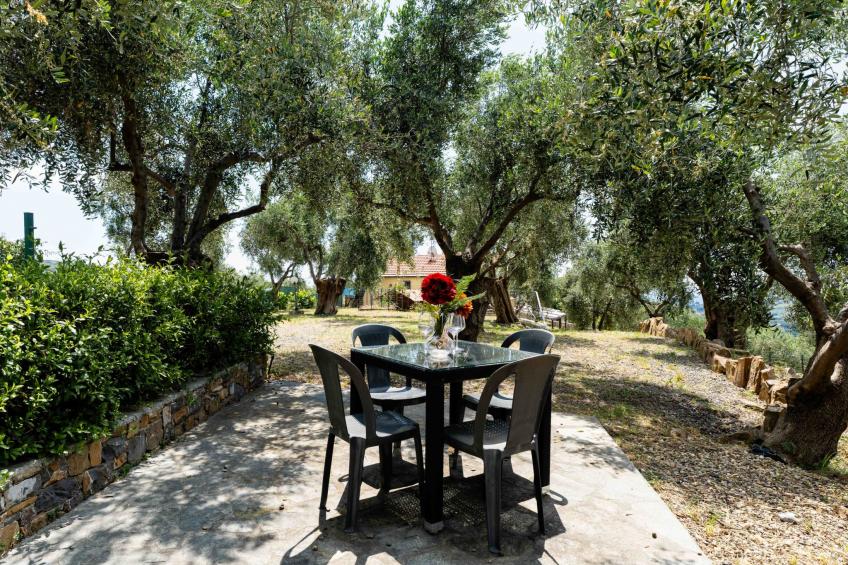 Olive Lodge - foto 33