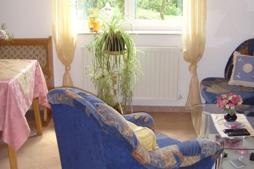 mit Blick zur Wallfahrtskirche - foto 11