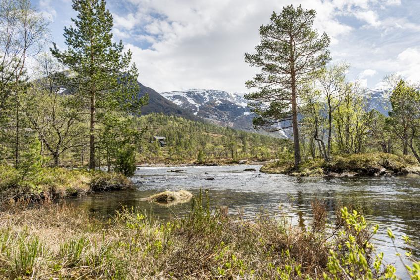 Likholefossen (FJS050) - foto 27