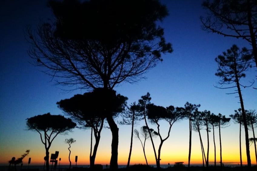 Charmantes Ferienhaus in Ciciano mit Grill, Garten und gemeinsamem Pool und Pan - foto 35