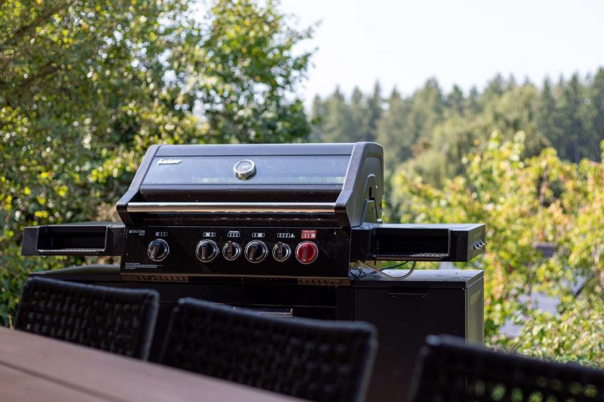 Overlook Lodge - foto 33