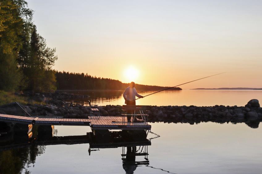 Villa vulpe - foto 38