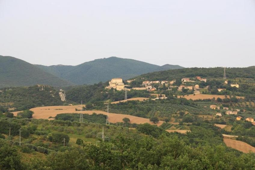 Fiordalisi - foto 34