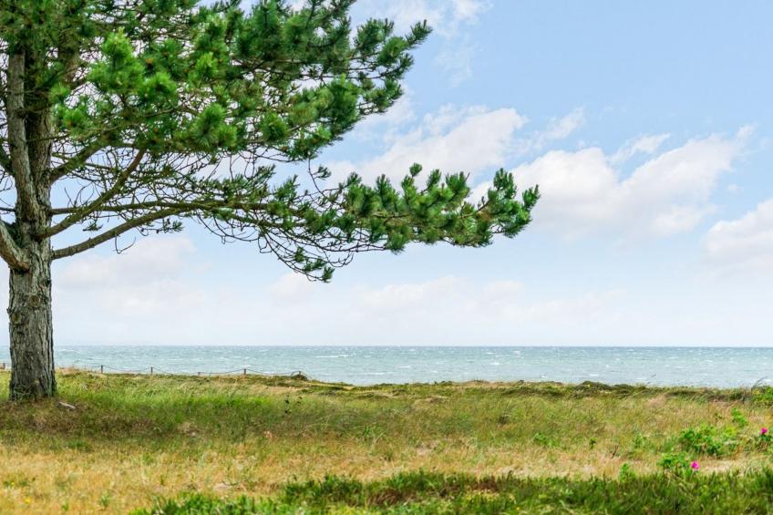 "Djuna" - 200m from the sea in NE Jutland - foto 17