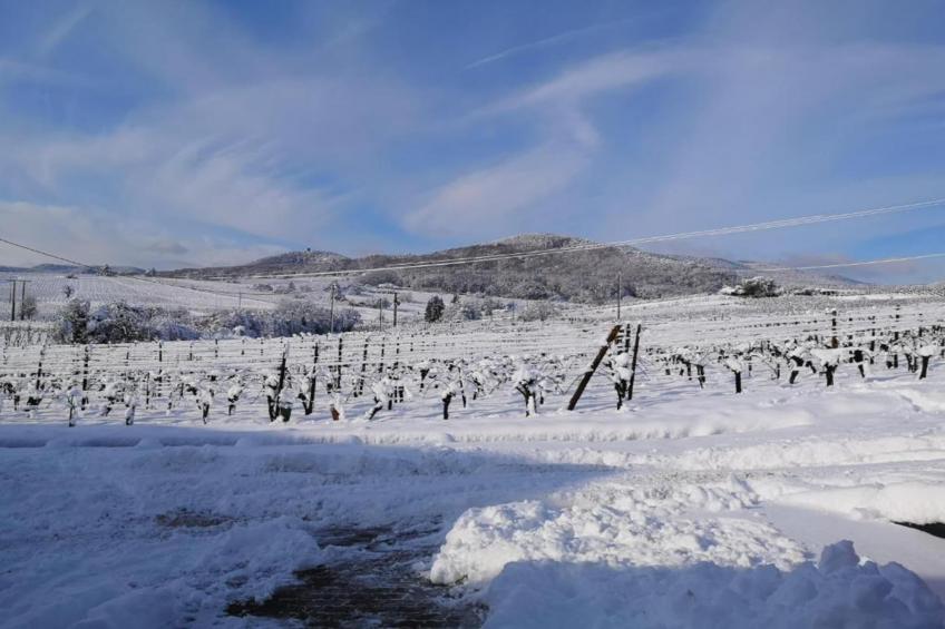 Le Domaine des Rois - foto 34