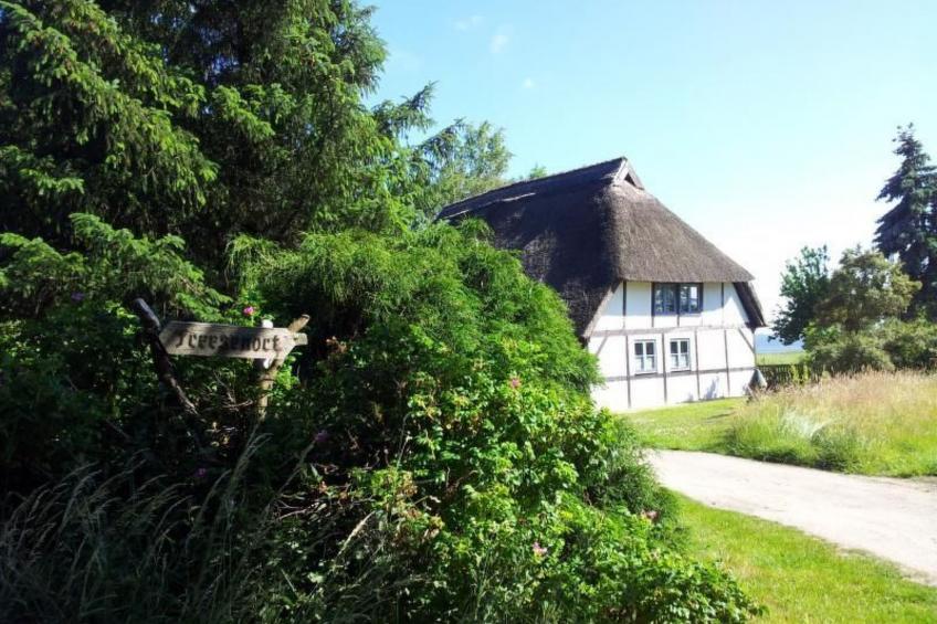 Komfortable Ferienwohnung in Waase - foto 12