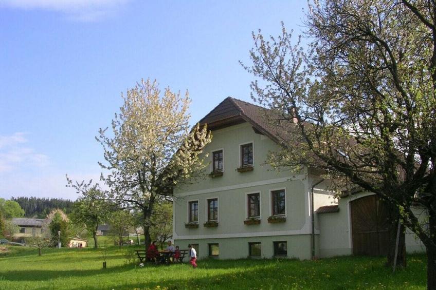 41168 - foto 3